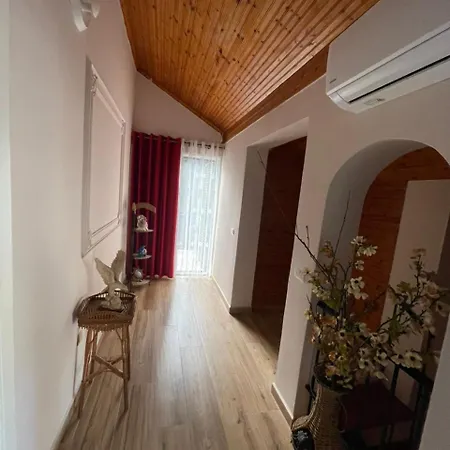Cozy * Golem (Tirana)